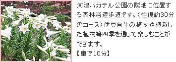 風土の森