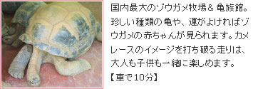 伊豆アンディーランド